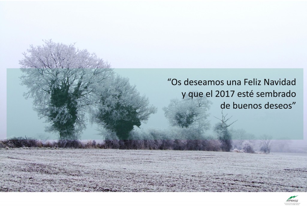 felicitacion-de-navidad