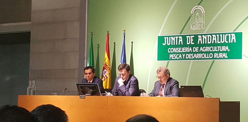 Ponencias andalucia