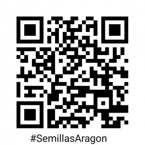 QR bueno