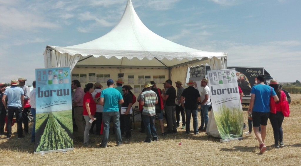 Carpa de uno de los asociados, Grupo Borau